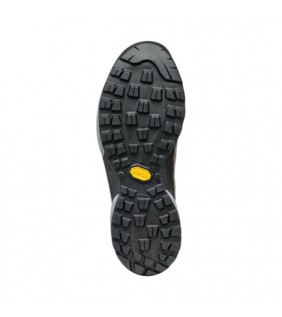 Approach Shoes Scarpa Mescalito GTX M's