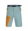 Direct Alpine Vulcan Short 3.0 M's